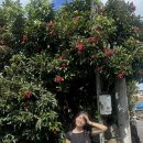 872기 4대대 040112 문성빈 이미지