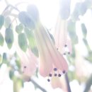 김수환무네 이미지