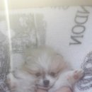 루이야학교가자 이미지