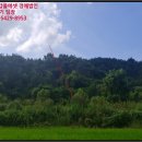 주생면 영촌마을 이미지