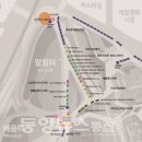 라이트마켓