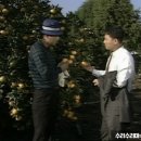 용식농장 이미지