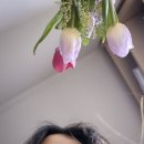 퍼스트유 이미지