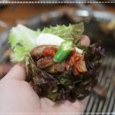 인정농장 이미지