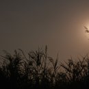 부평공원 이미지