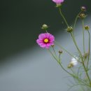 성암경로당 이미지