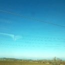 캠퍼스타운한의원 이미지