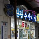 속초 대포항 문어숙회 뿔멍게 포장 내돈내산