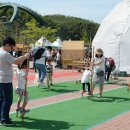 담양대나무축제 이미지