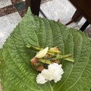 한라산똥돼지