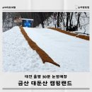 대전 근교 눈썰매장 대둔산 캠핑랜드 솔직후기