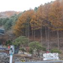 화악지암길 이미지