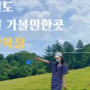 매곡목장 이미지