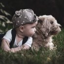 이로운 동물병원 이미지