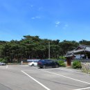 옥산경로당 | 경주시 - 경주 흥덕왕릉, 월성 육통리 회화나무, 종덕재정당