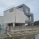 시유당 이미지