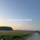 샵스케줄 공원 | 5월 샌드위치 연휴, 힐링 군산 2박3일 여행(군산여행 맛집, 카페, 군산 가볼만한 곳 공유)