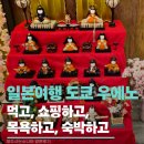 미래할인마트 | 일본 도쿄 우에노) 맛집 &amp; 쇼핑후기 👍