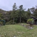 숲속의 집 이미지