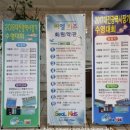 씨엘키즈 | 대전 씨엘키즈 어린이 수영장! 유아 수영강습 추천! 여름방학 특강 소식까지 내돈내산 후기