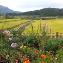 봄여름가을이야기 이미지