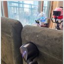 김포세탁 이미지