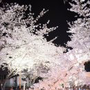 진해중앙고삼거리 이미지