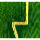 경성대학교 멀티미디어대학원 이미지