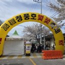 청풍호로 | 제천 벚꽃명소｜2026 청풍호 벚꽃축제 실시간 만개 후기