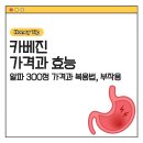 인하사랑약국 | 카베진 가격과 효능 한 번에 보기｜알파 300정 가격과 복용법·부작용✨