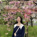 [오사카벚꽃여행🌸] Day3. 오사카 조폐국 겹벚꽃 축제 예약 방법/헵프이브 대관람차/블루보틀/애니메이트