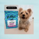 펫츠아일랜드 | 쏘울메이트 에어드라이 레드미트 (비프) 후기 ㅣ 사료 쇼핑몰 펫츠홈 9주년 이벤트 당첨 ㅣ 강아지 사료...