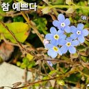 오늘참예쁘다(2) 이미지