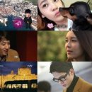 더로맨틱 이미지