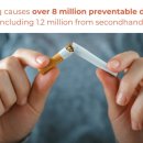 영광사이언스 이미지