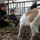 농촌문화체험민박 이미지