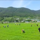 청마정비 이미지