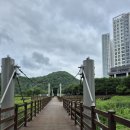 2026 산행일지 057회차 울산역=＞작천정벚꽃터널=＞인내천바위=＞작괘천(작천정)=＞등억온천=＞복합웰컴센터=＞도깨비도로 (2224) 이미지
