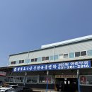 용인맛집 활주로수산 신선한 물회 포장후기