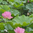 덕바위마을 이미지