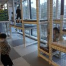 이지요더파크 | 부산 강서구 카페 아쉬움이 남았던 이지요 더파크