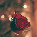 작가와 함께 습관이 되는 글쓰기 이미지