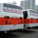 부일여객 이미지