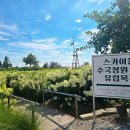 블랜드미
