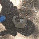 이솝 유치원 이미지