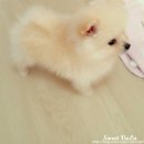 청주지웰동물병원 이미지