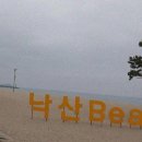 비송한우돈우숯불구이 | 비송한우돈우숯불구이에서 비시즌맞이 휴가 떠난 양양 맛집