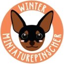 스타일나개 이미지