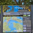 월영마을 | 안동 여행 : 선상수선길, 예끼마을,안동 소주 체험관, 월영교(feat.월영야행 축제)