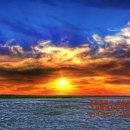 청원 행정사 이미지